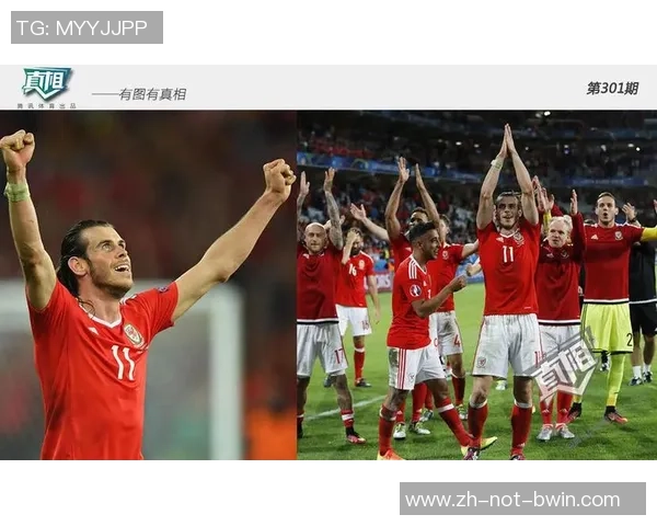 2016欧洲杯精彩回顾葡萄牙对阵威尔士的激烈对决与精彩瞬间