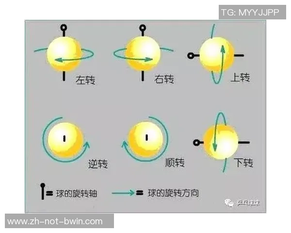 乒乓球秘技：把握拉弧圈球的完美磕碰艺术—打摩结合战略全解析